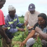 processo de produção do pesticida