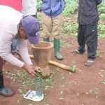 processo de produção do pesticida