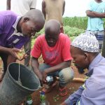 processo de produção do pesticida